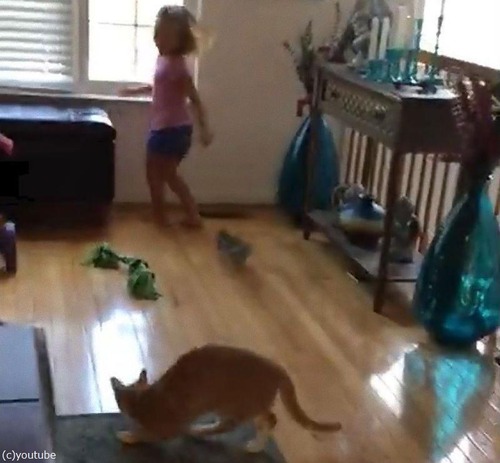 �ꥹ�Ƚ��λҤ��ɤ������ä�01