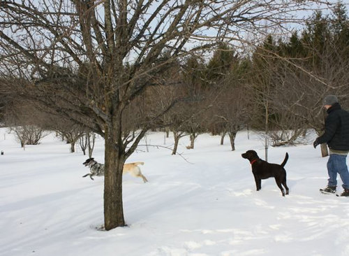 完璧なタイミング17