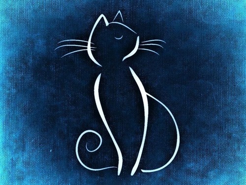 しっぽ自慢の猫