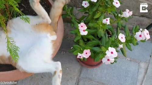 �ʤ�������٥åɤˤ����ġ�01