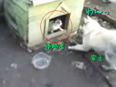 ��������å��