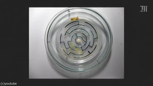 �⥸�ۥ���03