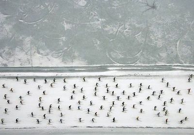スキーで1万人以上が密集して雪崩のように滑る状況04