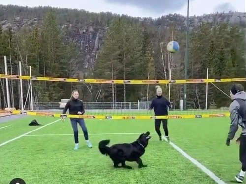 �Х졼�ܡ���Υȥ���ŷ�͸�00