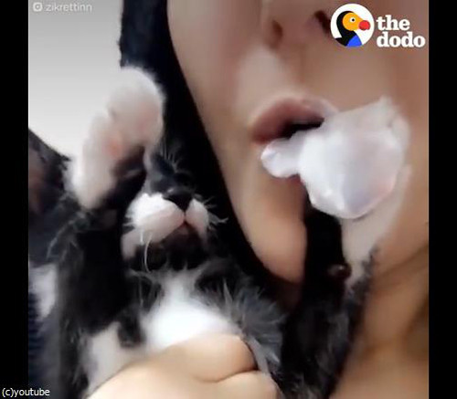 うちの猫はフーセンガムを見ると…05