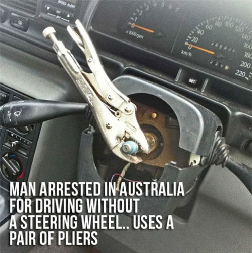 ワイルド・オーストラリア14