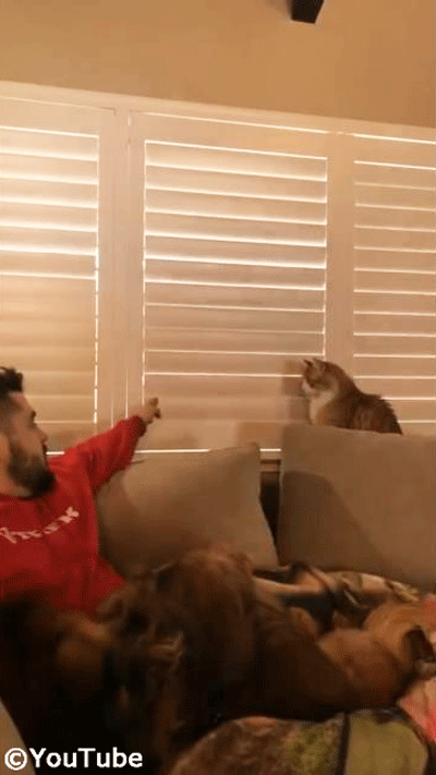 �����򸫤���ǭ VS �֥饤��ɤ��Ĥ᤿�������礵��02