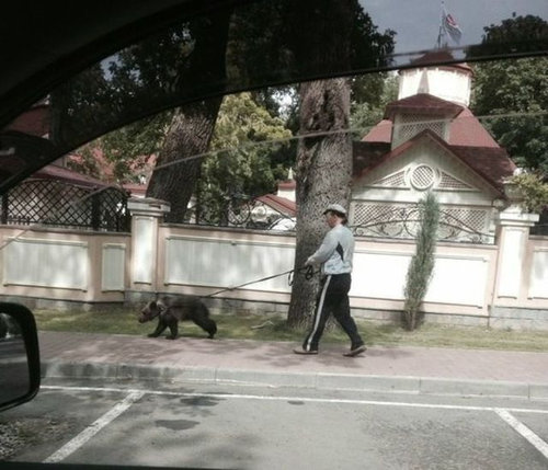 さすがロシア14