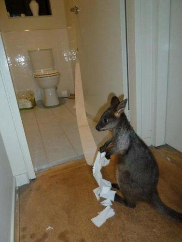 そのころオーストラリアでは07