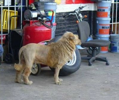 �饤����01