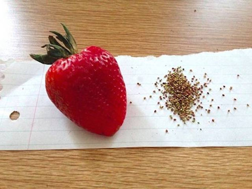 ��ǽ��̵�̸���14