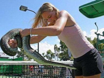 ι������Ǽؤ�����ʤȤ�������ޤ��TOP