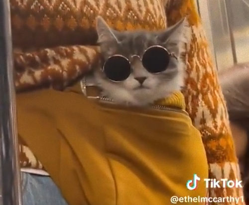 ˥塼衼ϲŴ郎ܤǤϹͤʤʿŪʡ׸01