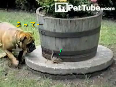 �֥�ɥå��ȥ��ޥꥹ