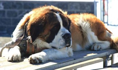 ������Ĺ14