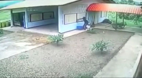 絶対に失敗する泥棒02