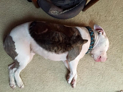 Ƭ������03