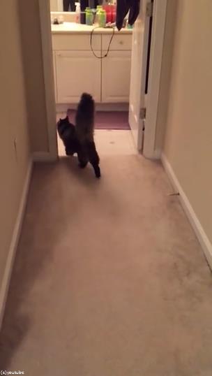 �פȺʤ���ߤ�ǭ��̾����Ƥ֤Ȥ�06