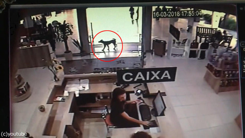 �ܤ��������ɸ�01