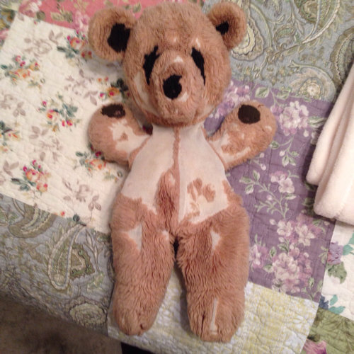 テディベア比較08