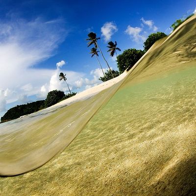 水面の上と下02