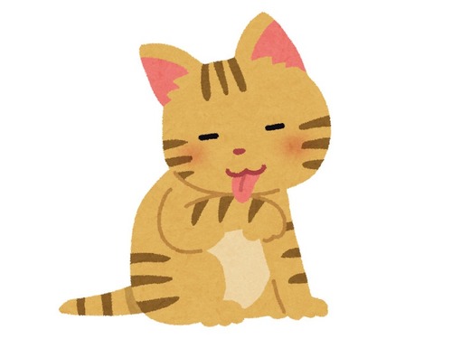 ママの毛づくろいを学ぶ子猫