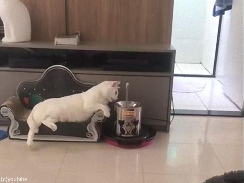 �Ǥ�ͥ���˿�����ǭ02