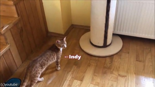 դդΥ٥åɤõ᤹ǭ01