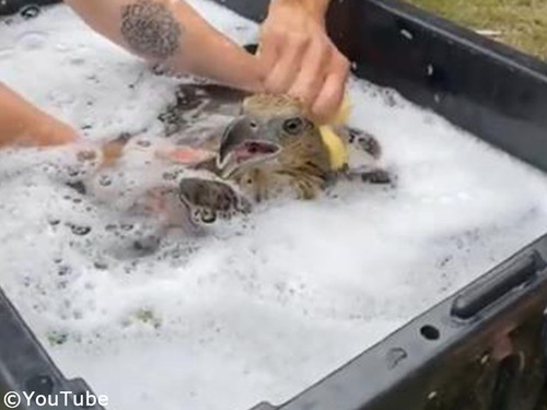 �亮��ˢ��Ϥ�����ȥ��å���00