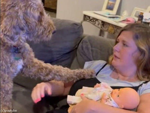 ママが抱っこするベビードールに犬が嫉妬するも…意外な行動をする（動画）