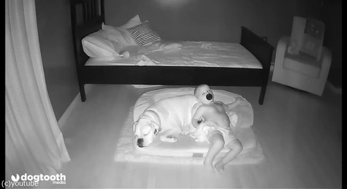 ベッドから降りて犬の隣で寝る赤ちゃん04