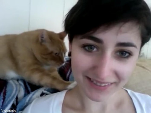 献身的な猫、飼い主の女性の肩をモミモミ02