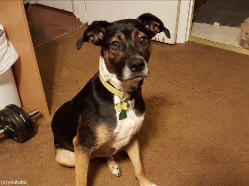 󥿡ξʪäʤʤäƤ06