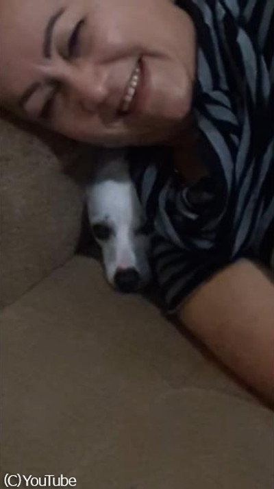 犬に サンダルをかじったのは誰 と聞いたら バレバレな犯人 動画 らばq