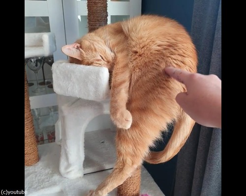ǭ�δ�̯�ʿ���03