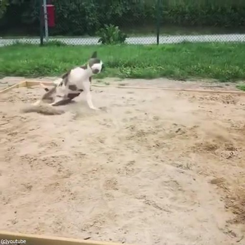 �֥�ƥꥢ��������綽ʳ04