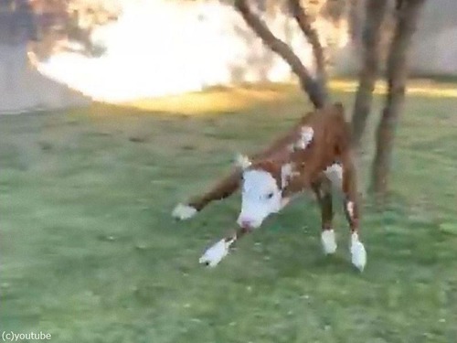 ����ķ�ͤ�ҵ�01