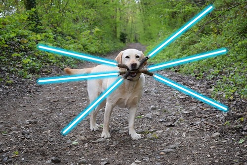 ɬ������Ȥ������ʸ�02