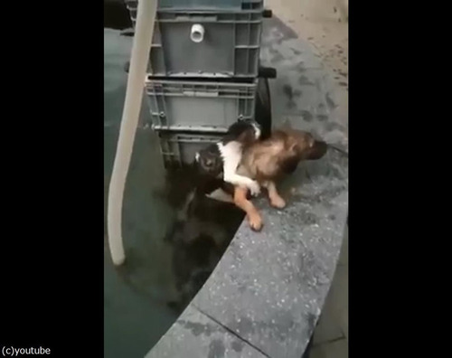 Ů��Ƥ���ǭ��߽Ф��븤04