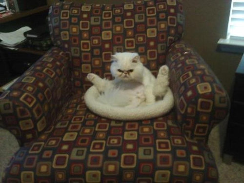 すごいポーズ14