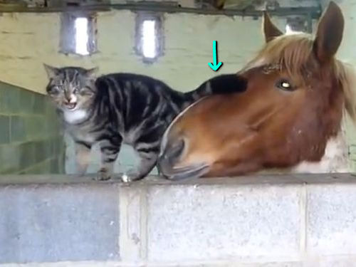 �Ϥ�ǭ�����ɤ�00