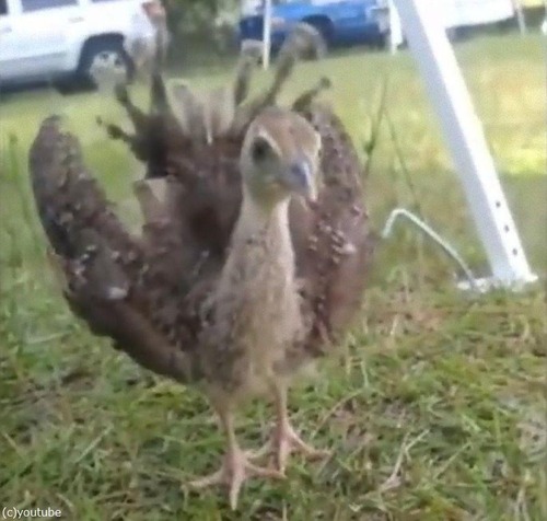 �������֤����01