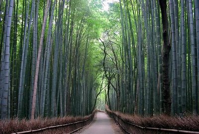 幻想的な小道04