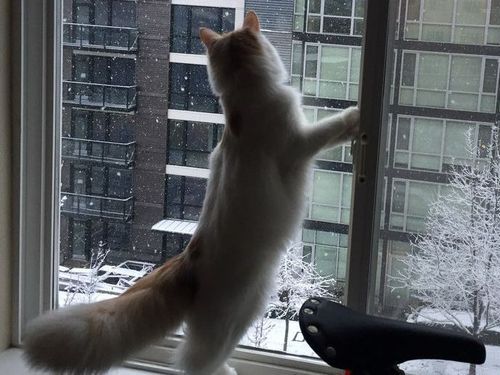 ��ǭ����ä���Ĥ��äݤ�������Ĺ����04