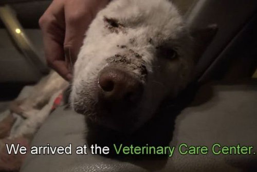 ���ߤλ�����餹�ۡ���쥹����߽�08