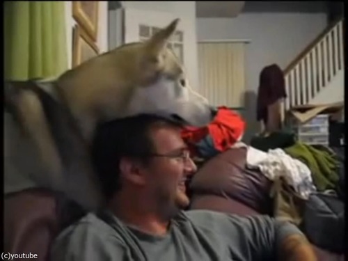 ����Ƭ�ξ�˴��褻�Ƥ���ȤǤ���ͷ��02