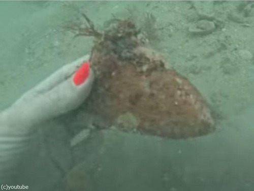ダイビング中に絶滅した超巨大ザメ「メガロドン」の歯を拾う（動画）
