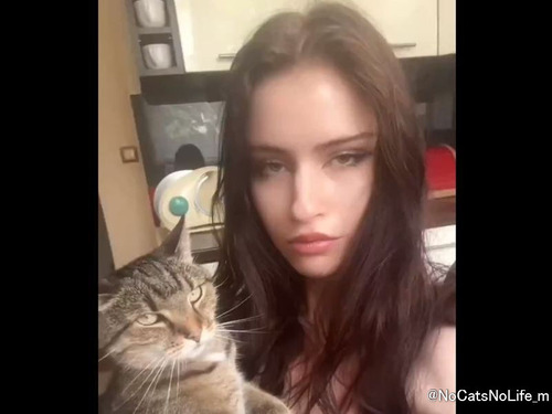 「やっぱり猫は飼い主に似るんだ…」クールな目つきの美女編