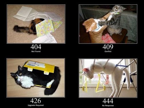 猫でHTTPステータスコード00