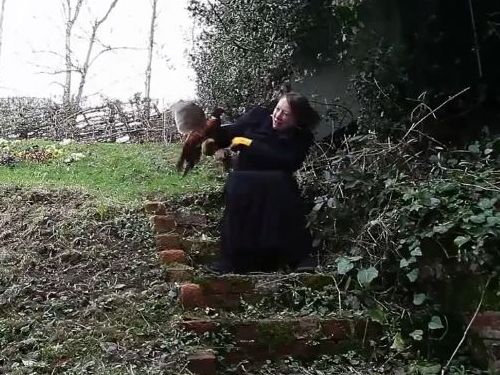 キジに襲われる女性02